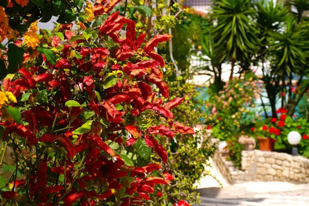 Hotel Pighi