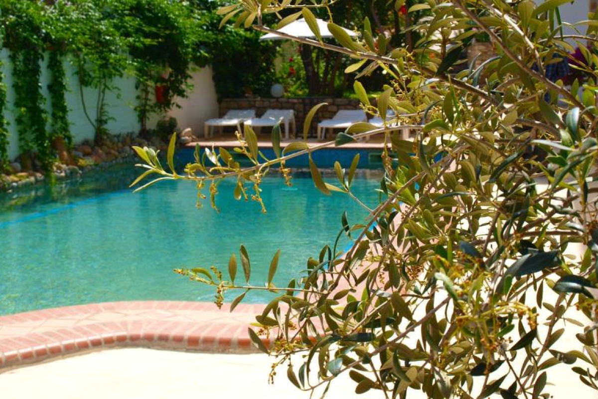Hotel Pighi
