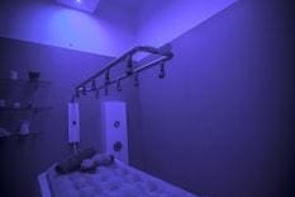 Hotel Rex