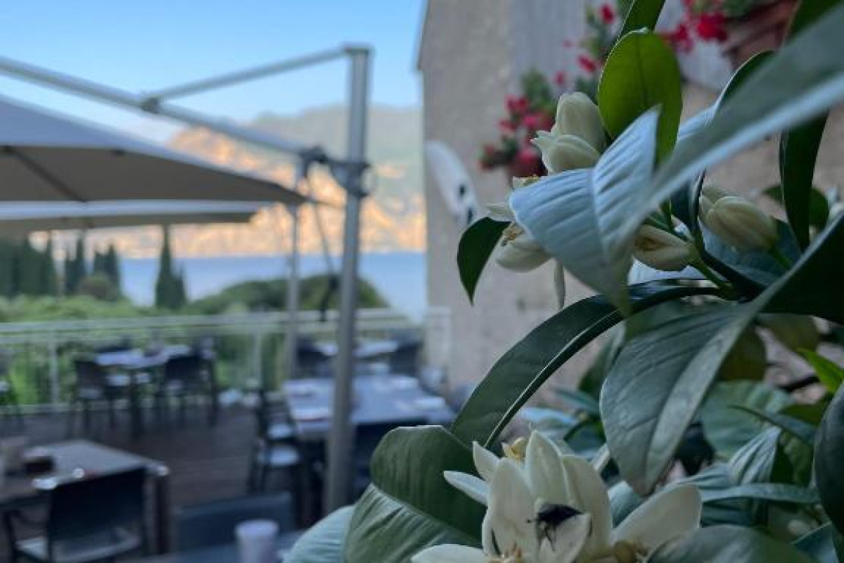 Hotel Roma Aparthotel