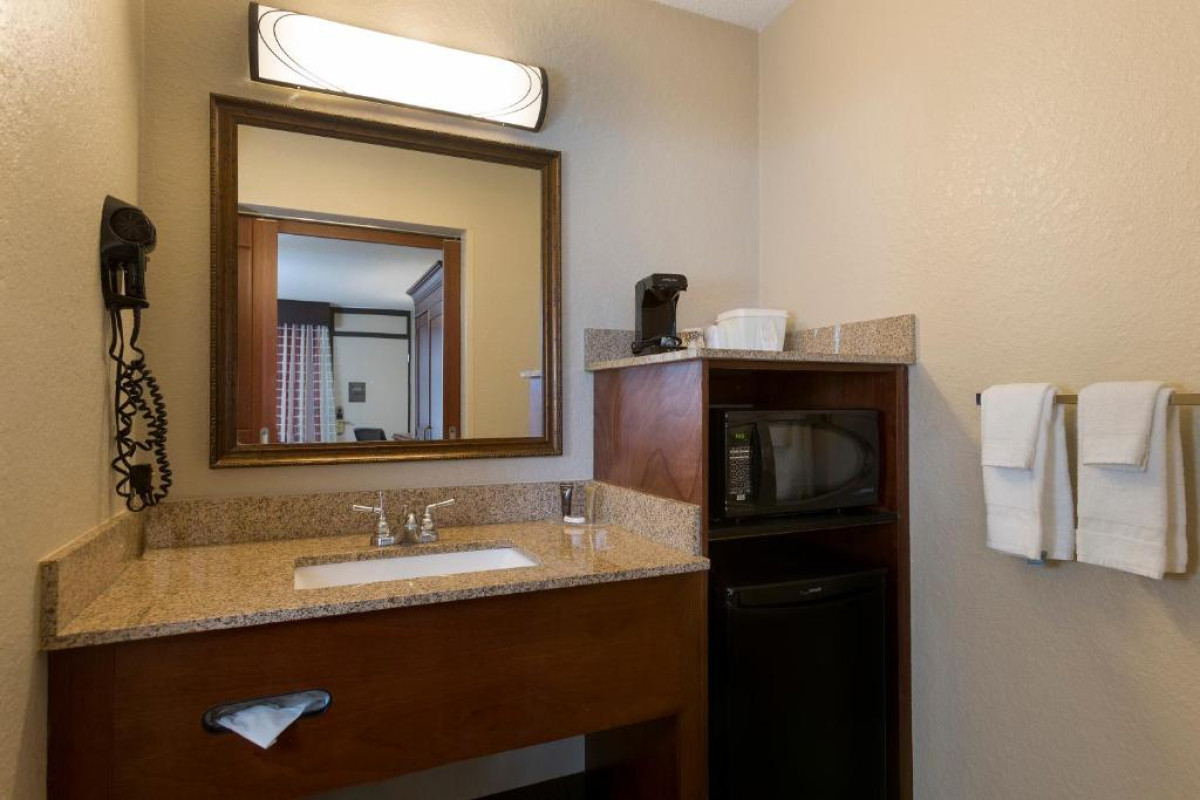 Hotel Rosen Inn International Near The Parks