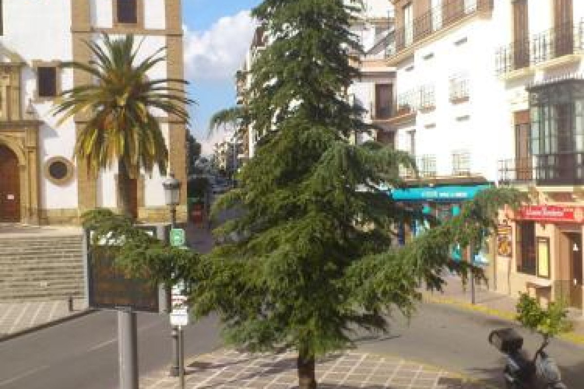 Hotel Royal