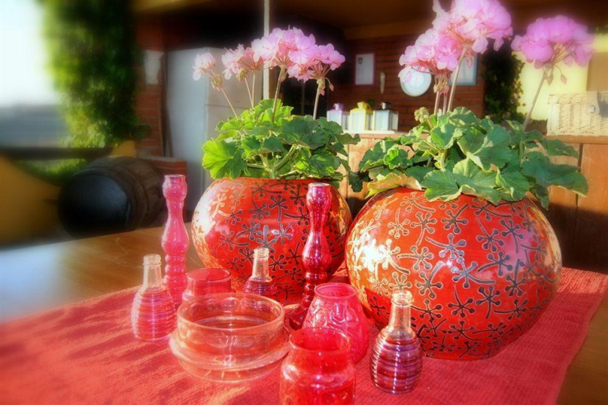 Hotel Rural Cortijo Amaya - Bed & Breakfast