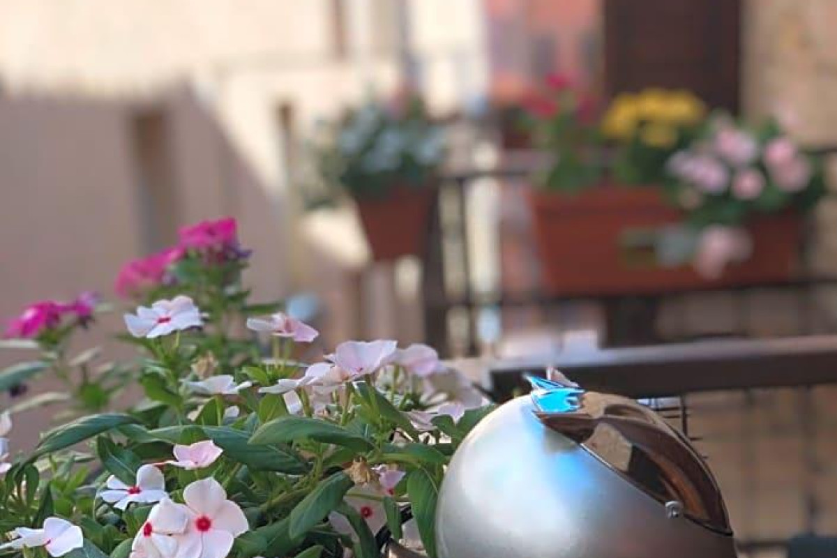 Hotel S. Ercolano