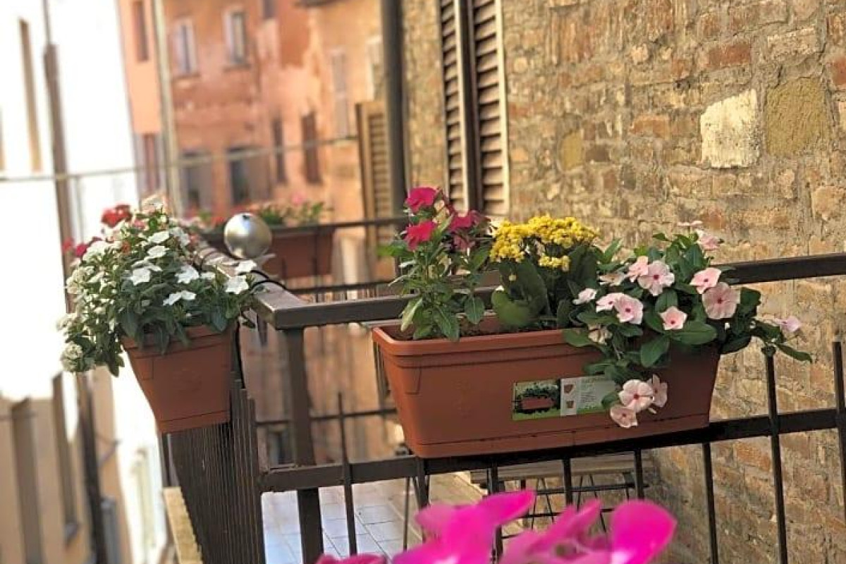 Hotel S. Ercolano