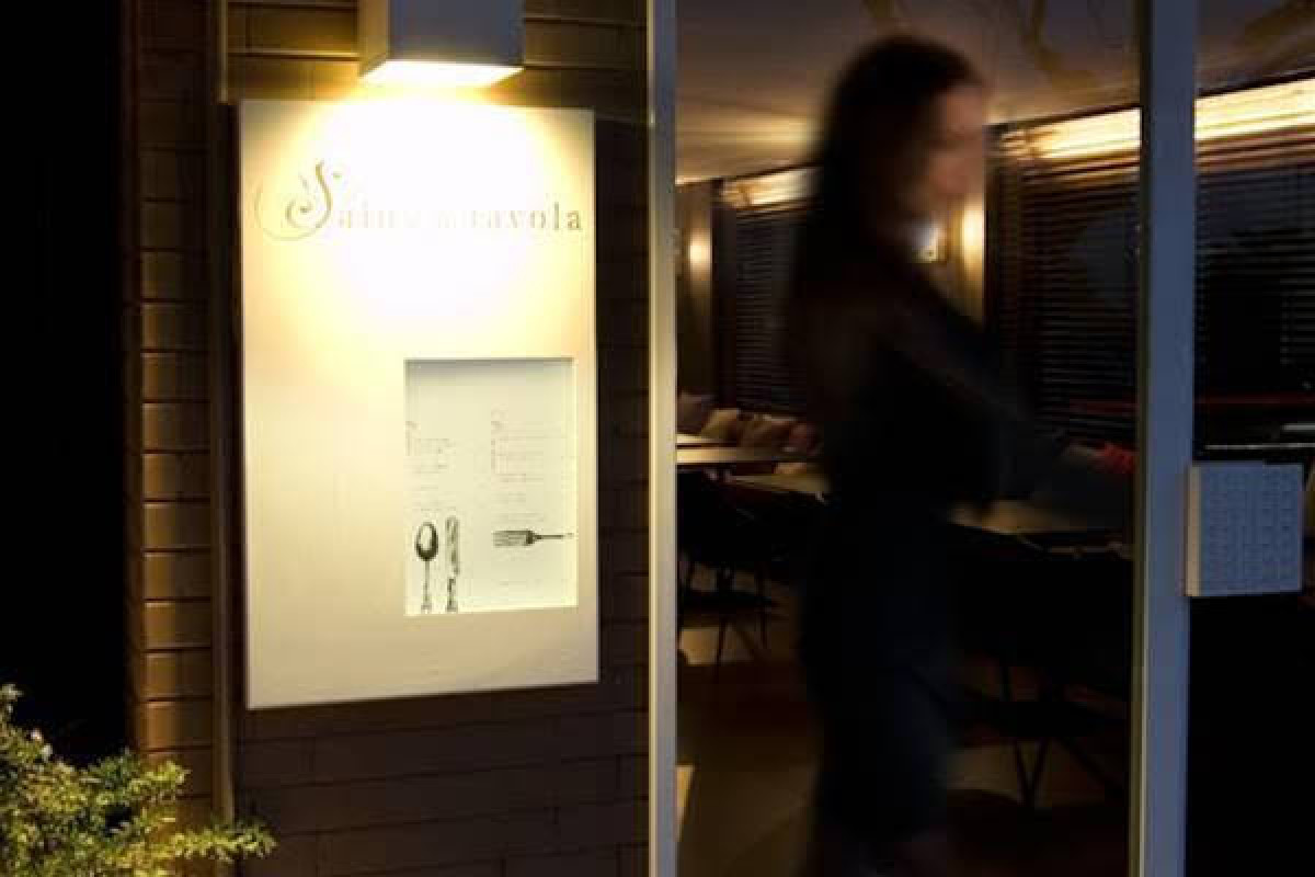 Hotel Salus