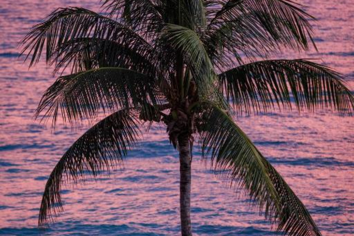 Hotel Sandals Barbados All inclusive - Couples Only