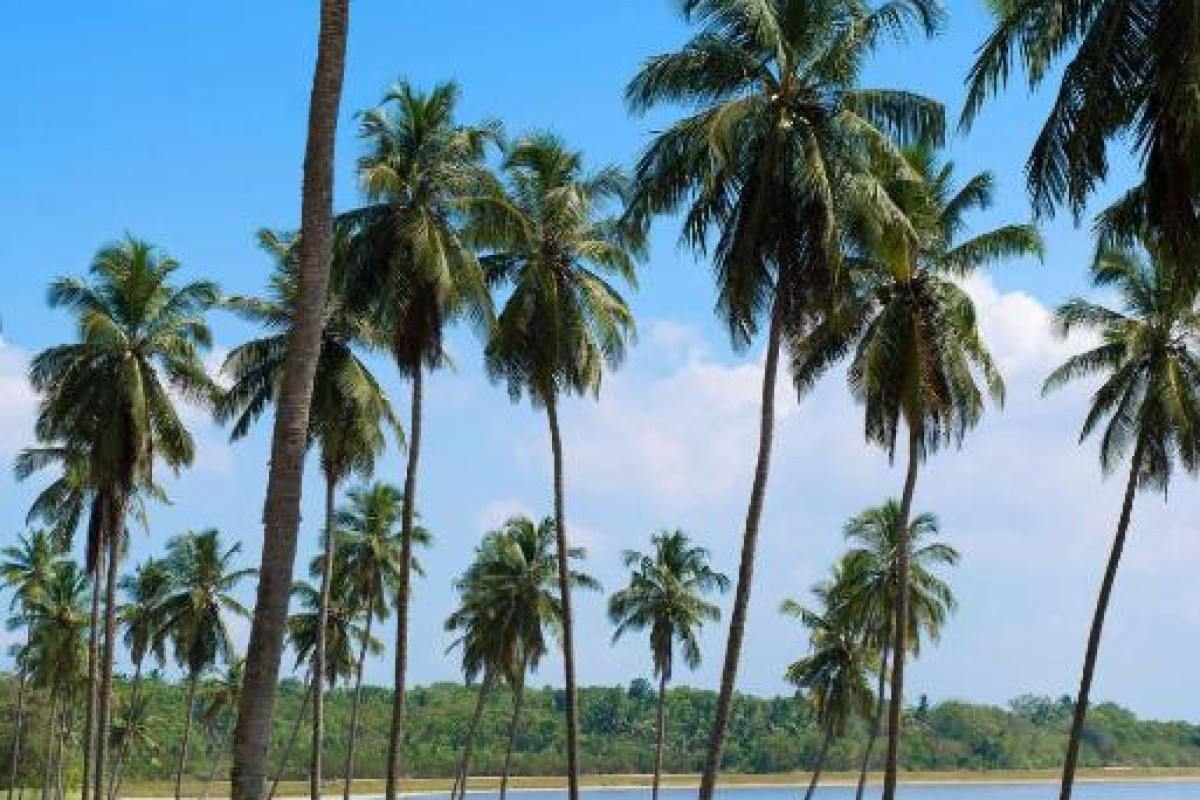 Hotel Shangri-La Hambantota