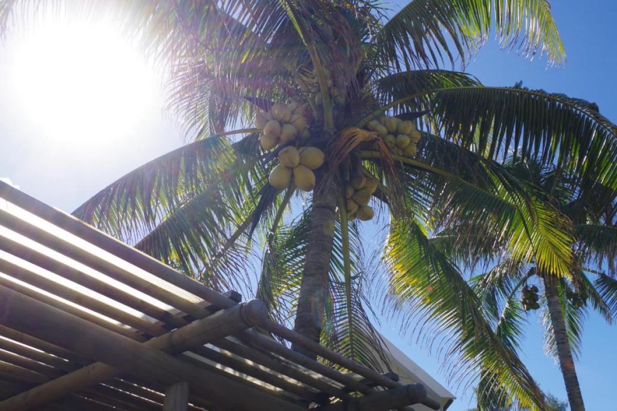 Hotel Silver Beach
