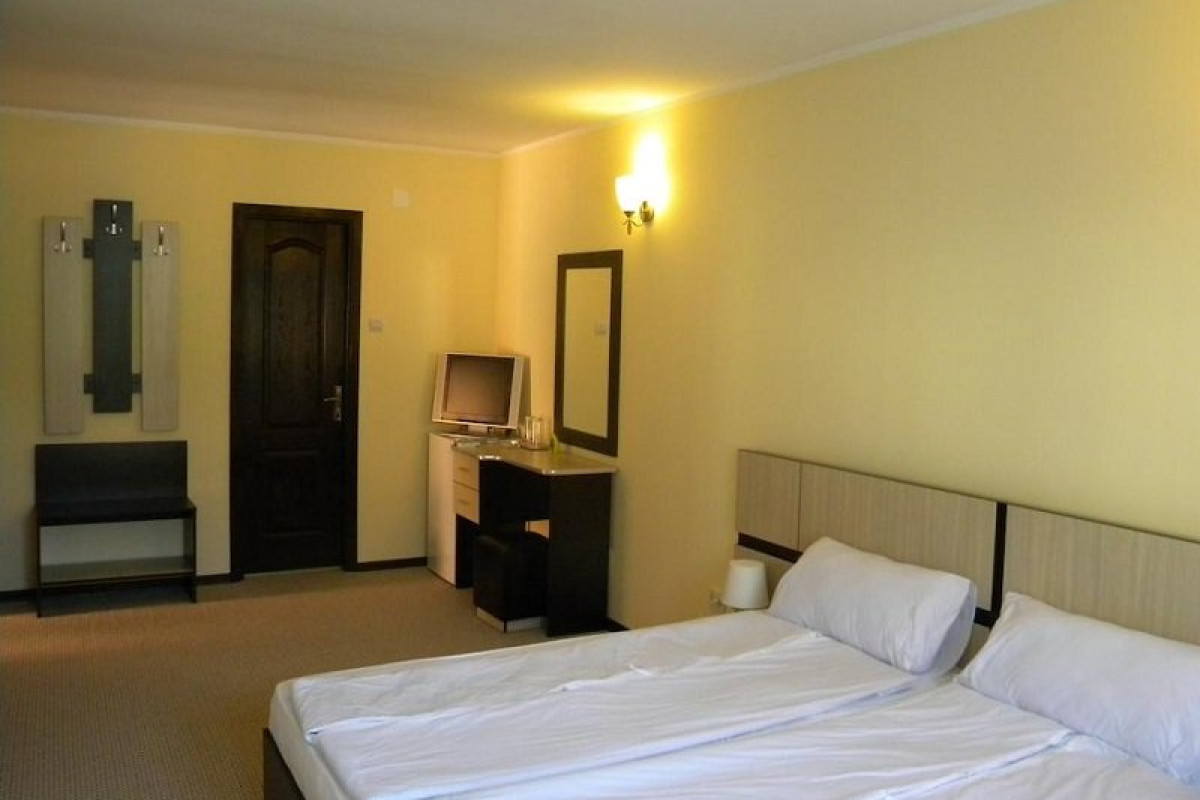 Vilele Soarelui
