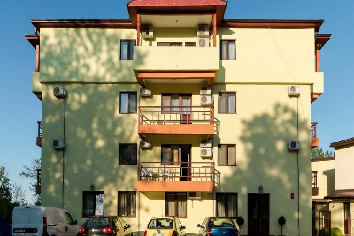 Vilele Soarelui