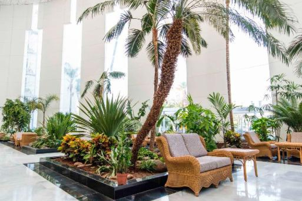 Hotel Spring Vulcano