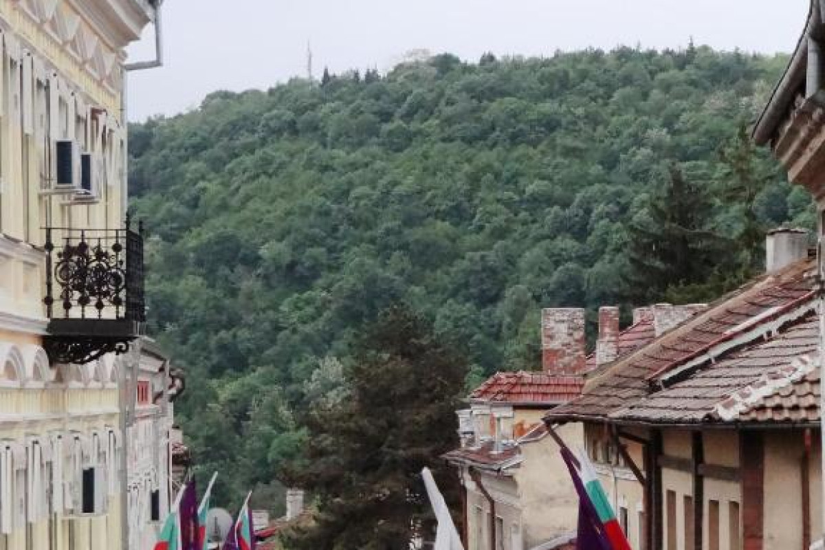 Hotel Tarnava