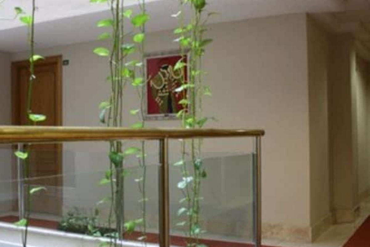 Hotel Torremar