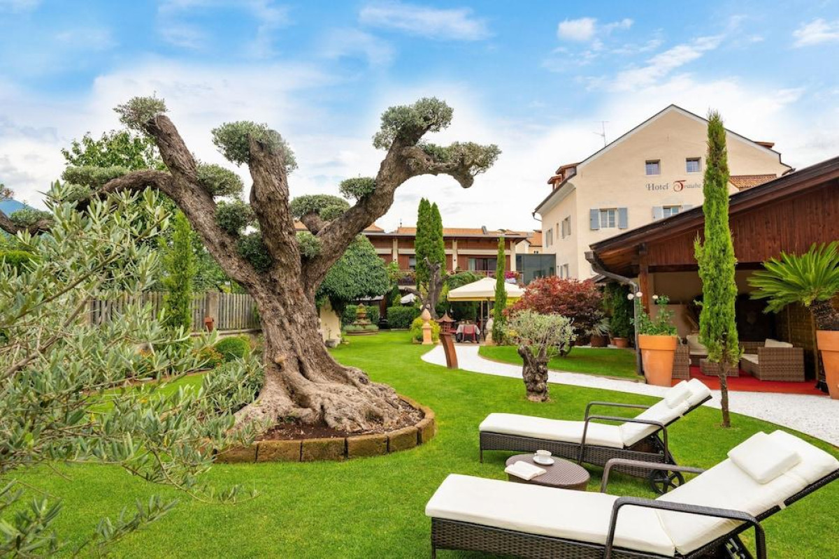 Hotel Traube