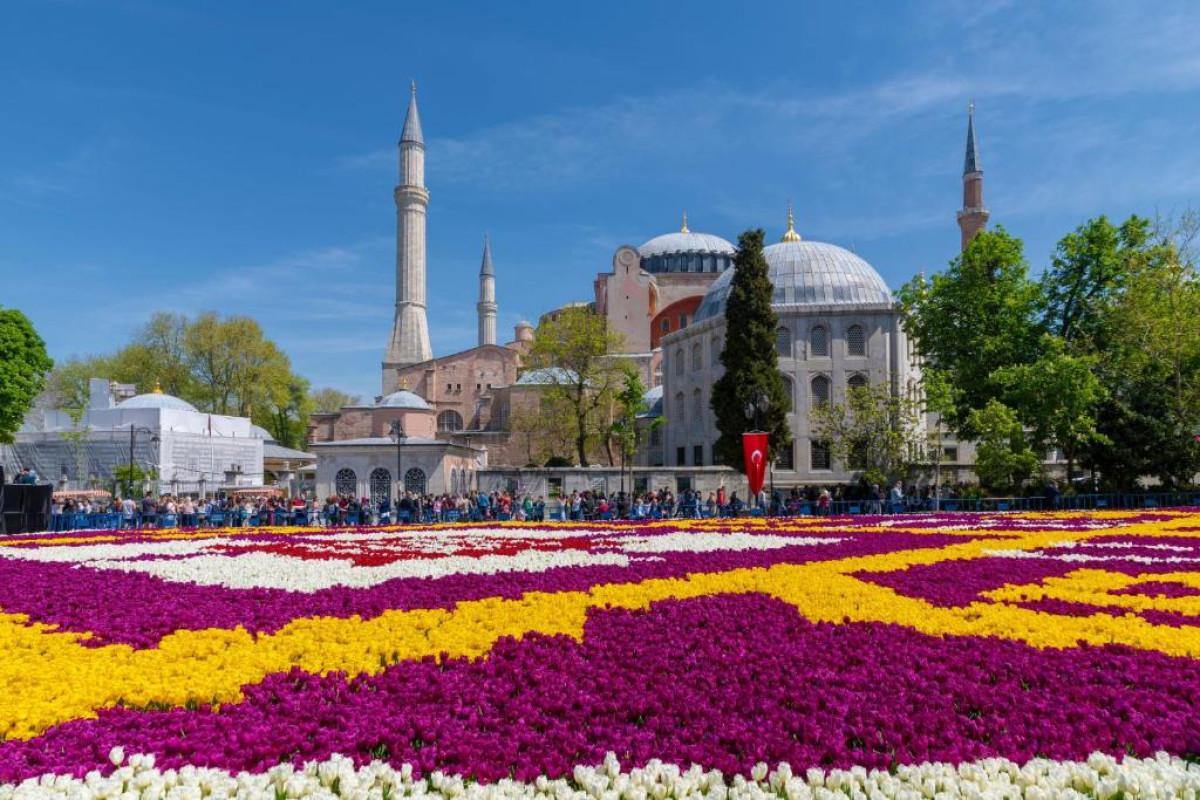 Tulip City Hotel
