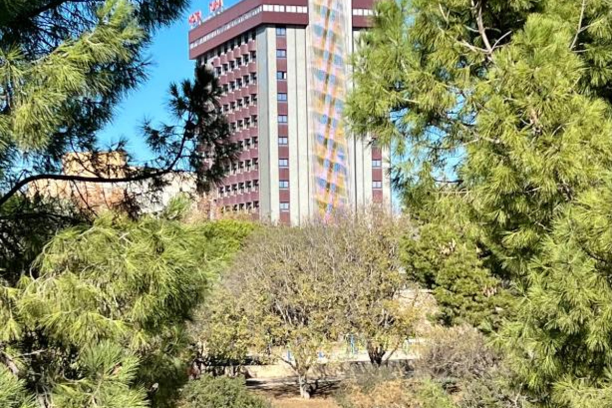 Turia