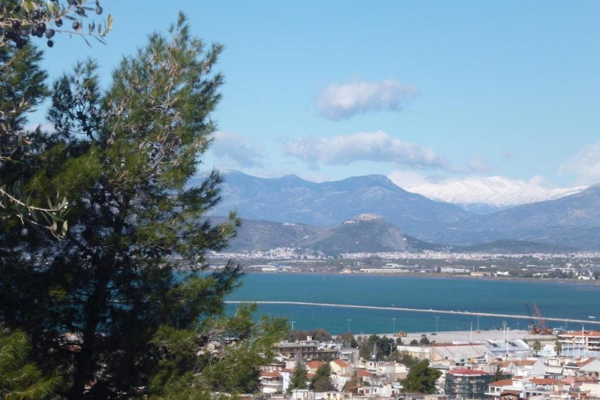 Hotel Vasilis