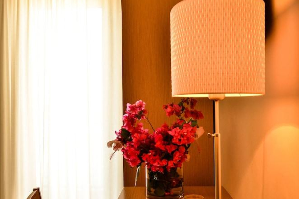 Hotel Vega