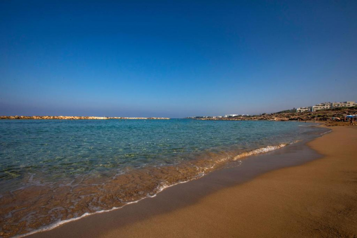 VENUS BEACH HOTEL