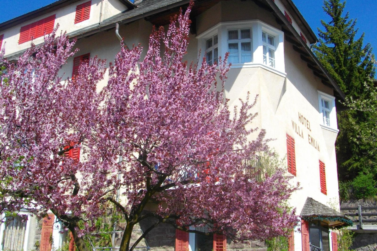 Hotel Villa Emilia
