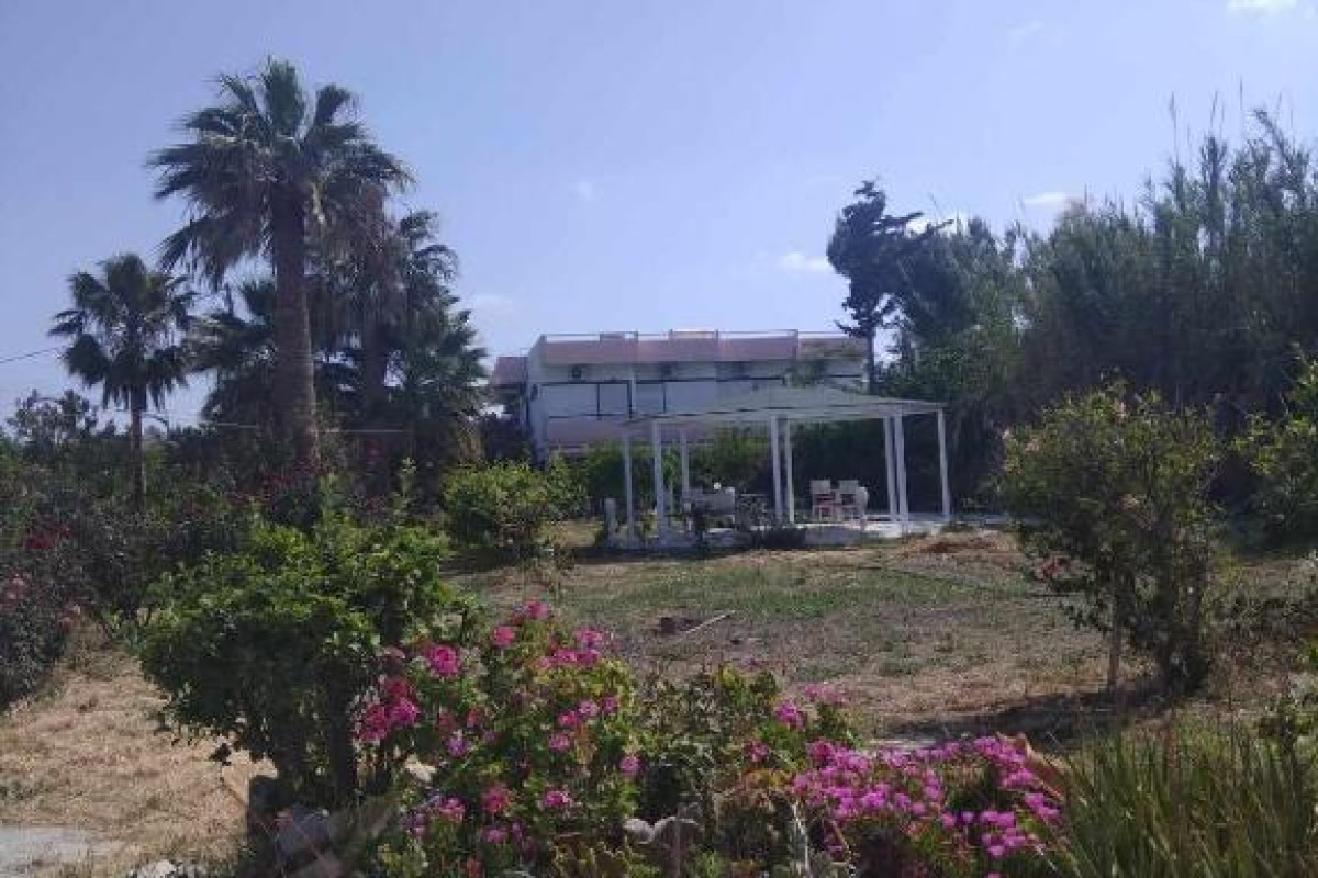 VIOLETTA HOTEL