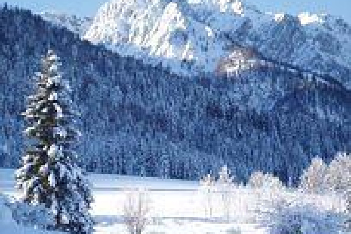 Hotel Walchsee