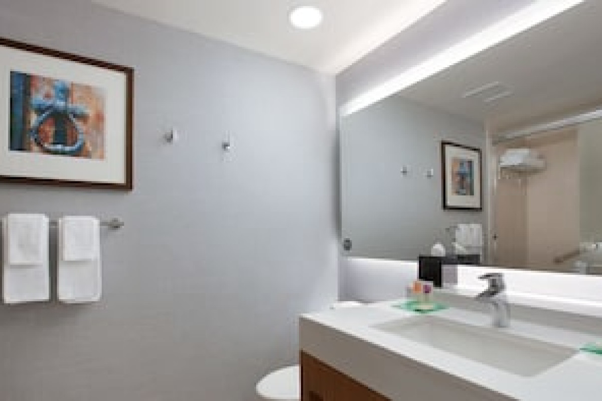 HYATT PLACE CHICAGO-SOUTH/UNIVERSITY MEDICAL CENTER