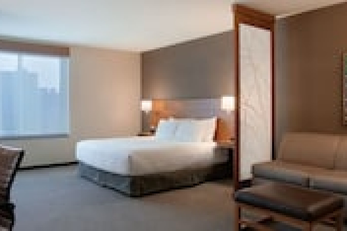 HYATT PLACE CHICAGO-SOUTH/UNIVERSITY MEDICAL CENTER
