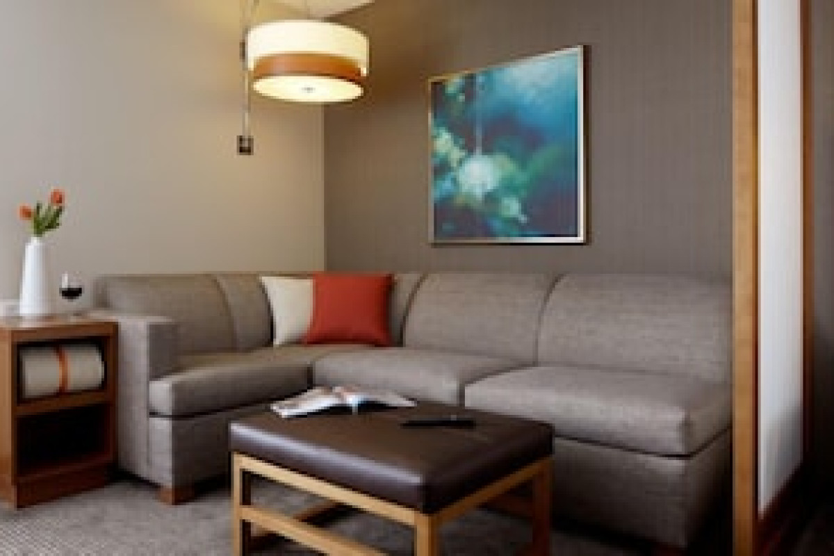 HYATT PLACE CHICAGO-SOUTH/UNIVERSITY MEDICAL CENTER
