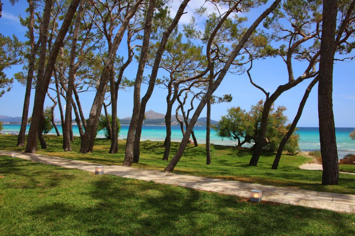 IBEROSTAR PLAYA DE MURO VILLAGE