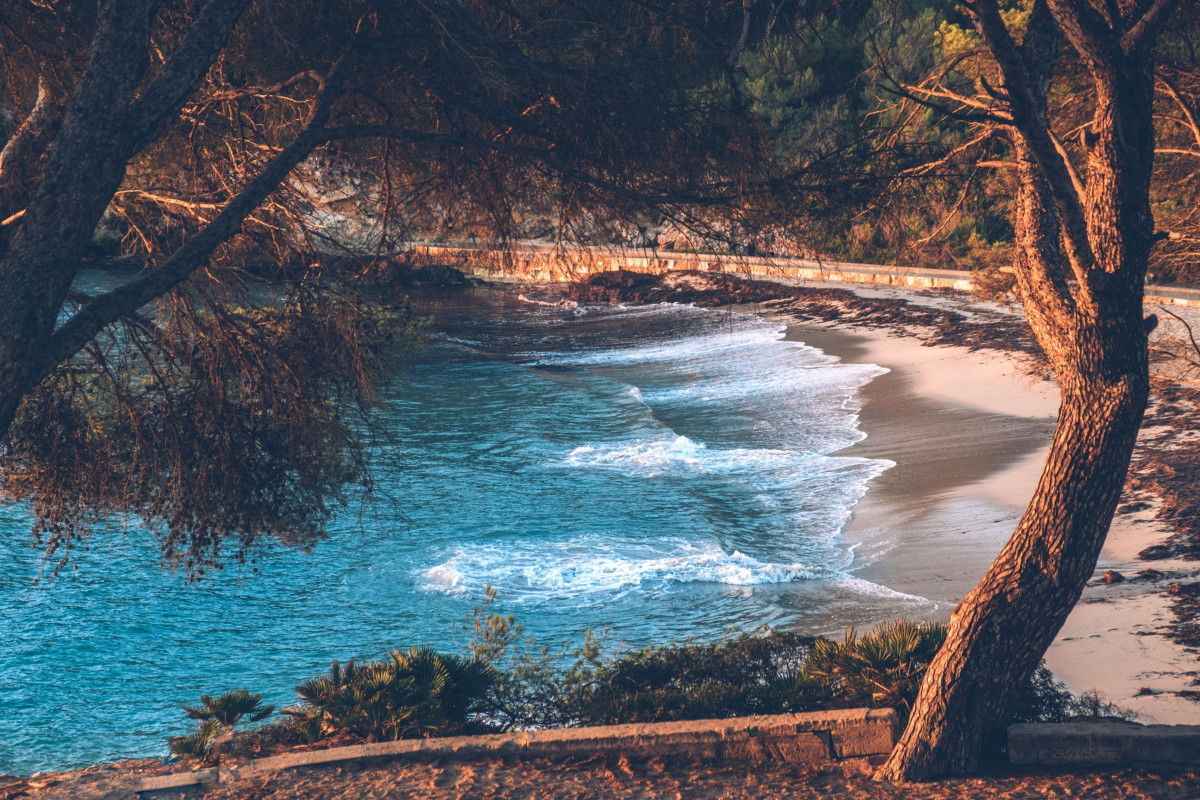Iberostar Waves Pinos Park