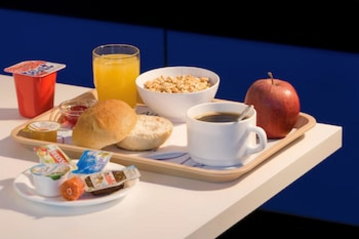 IBIS BUDGET ROTTERDAM THE HAGUE AIRPORT