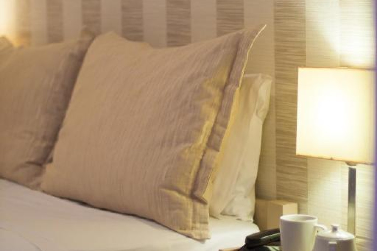 Hotel Ideon