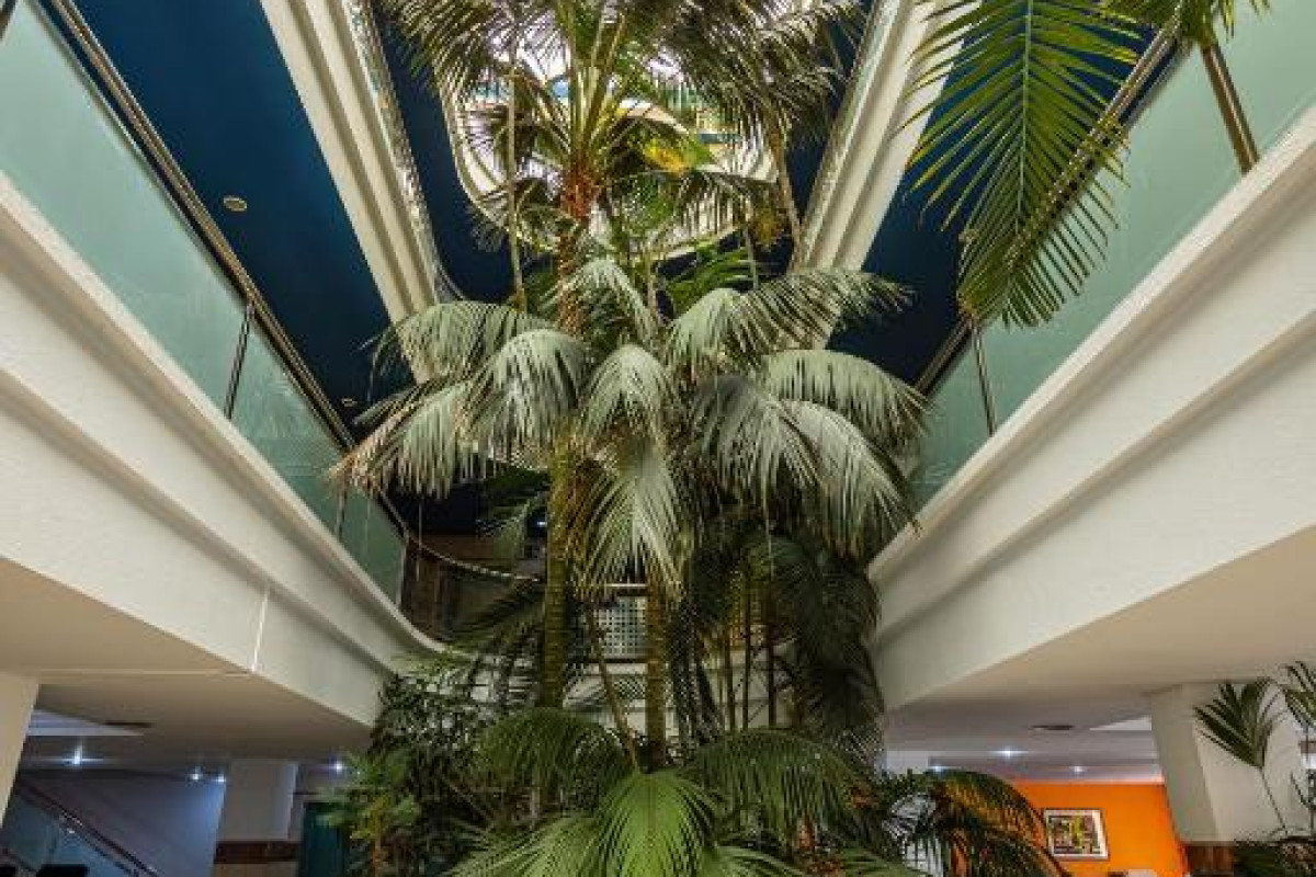IFA Altamarena by Lopesan Hotels