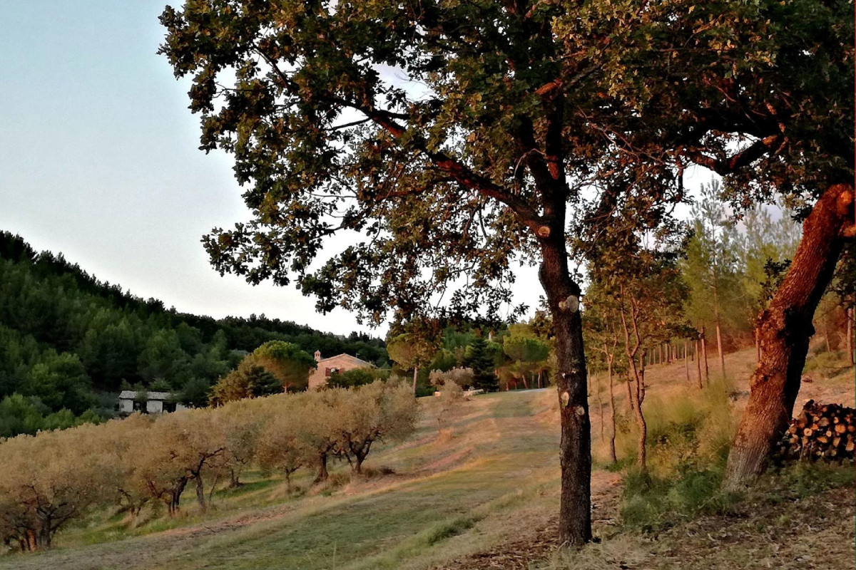 Il Casale Nella Natura