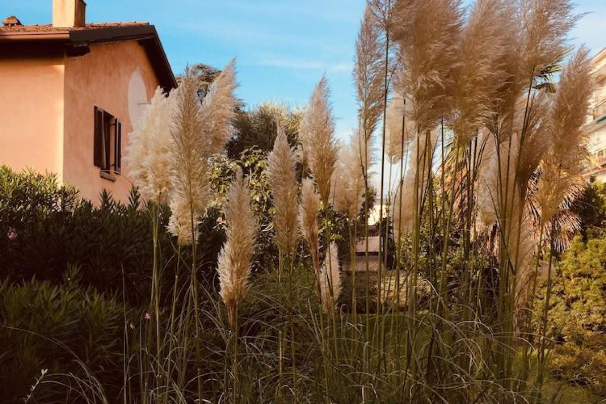 Il Giardino Segreto