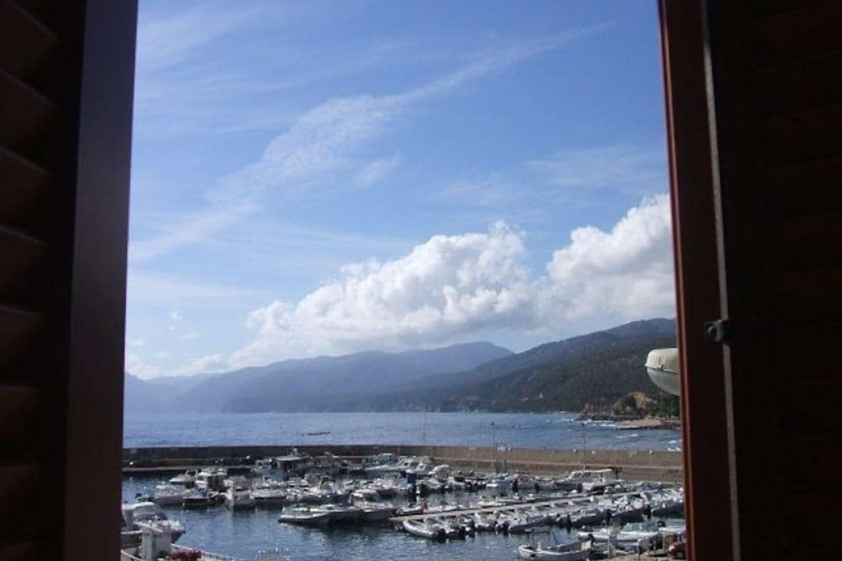 Il Nuovo Gabbiano
