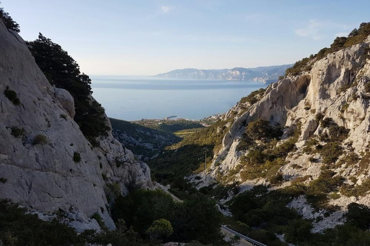 Il Nuovo Gabbiano