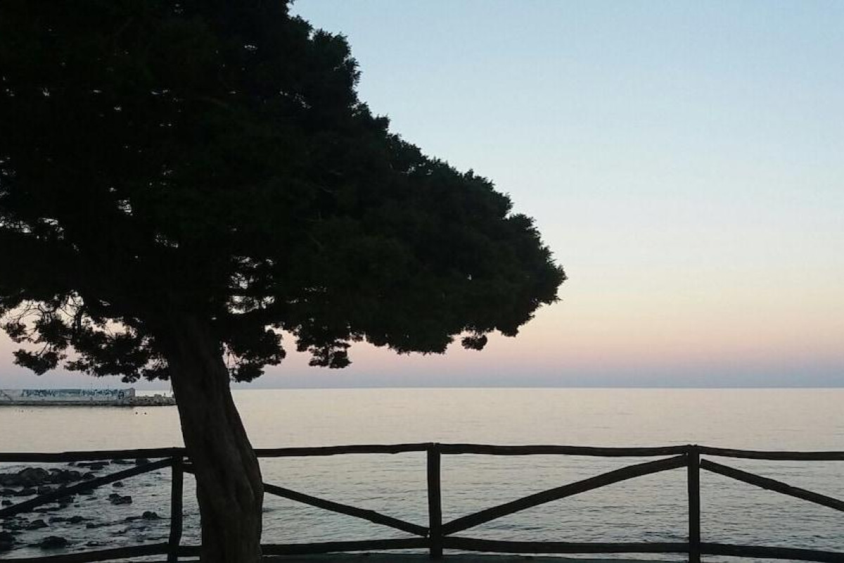 Il Nuovo Gabbiano
