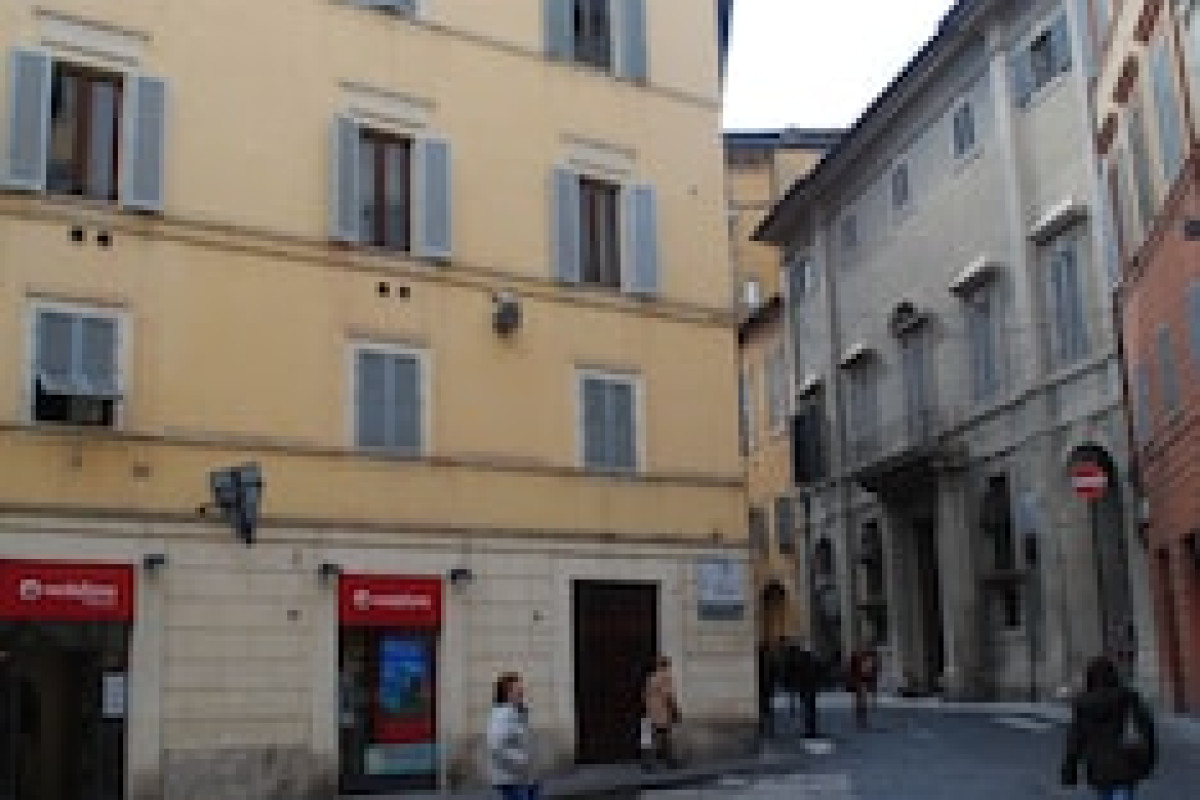 IL SENESINO