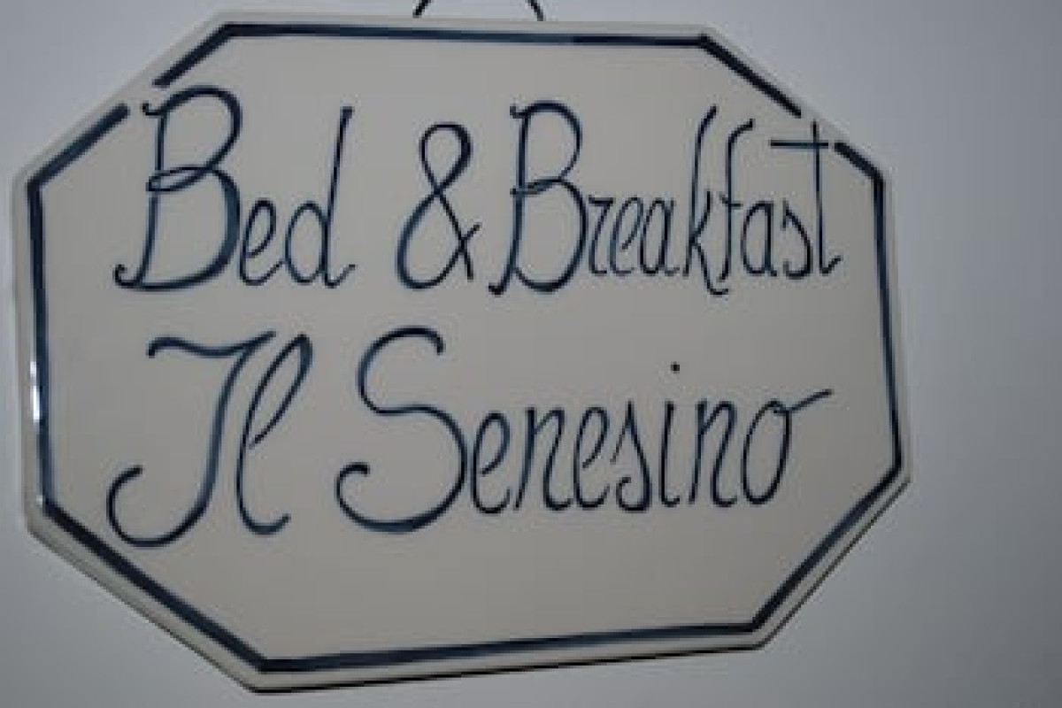 IL SENESINO