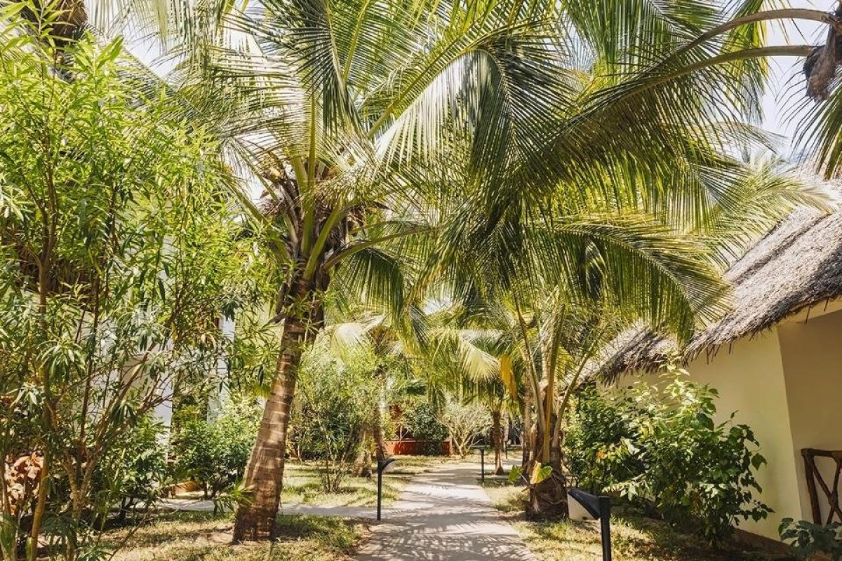 Jaz Adonia Beach Resort