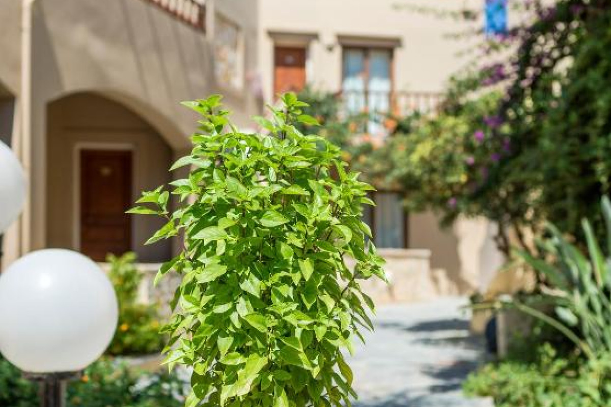 INDIGO MARE SUITES & APARTMENTS