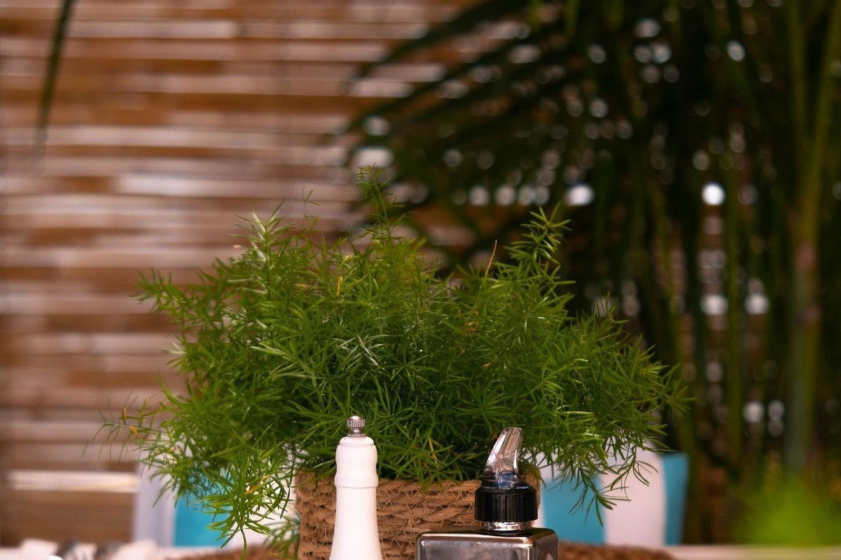 INN MALLORCA APART-HOTEL