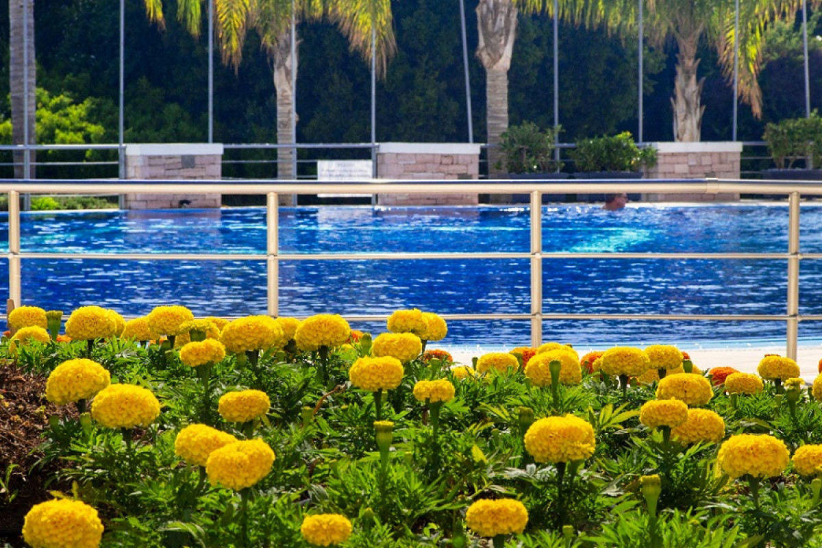 Ionian Theoxenia Hotel