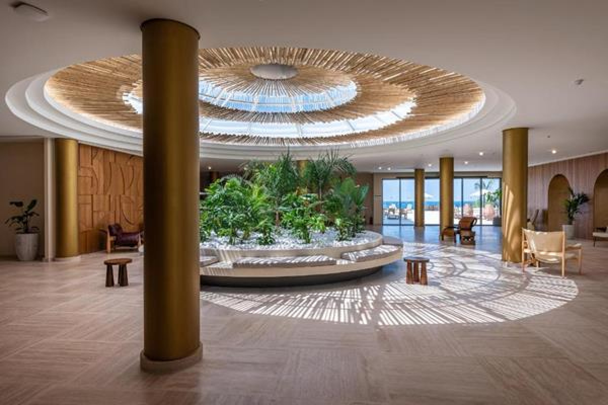 ISLA BROWN CHANIA