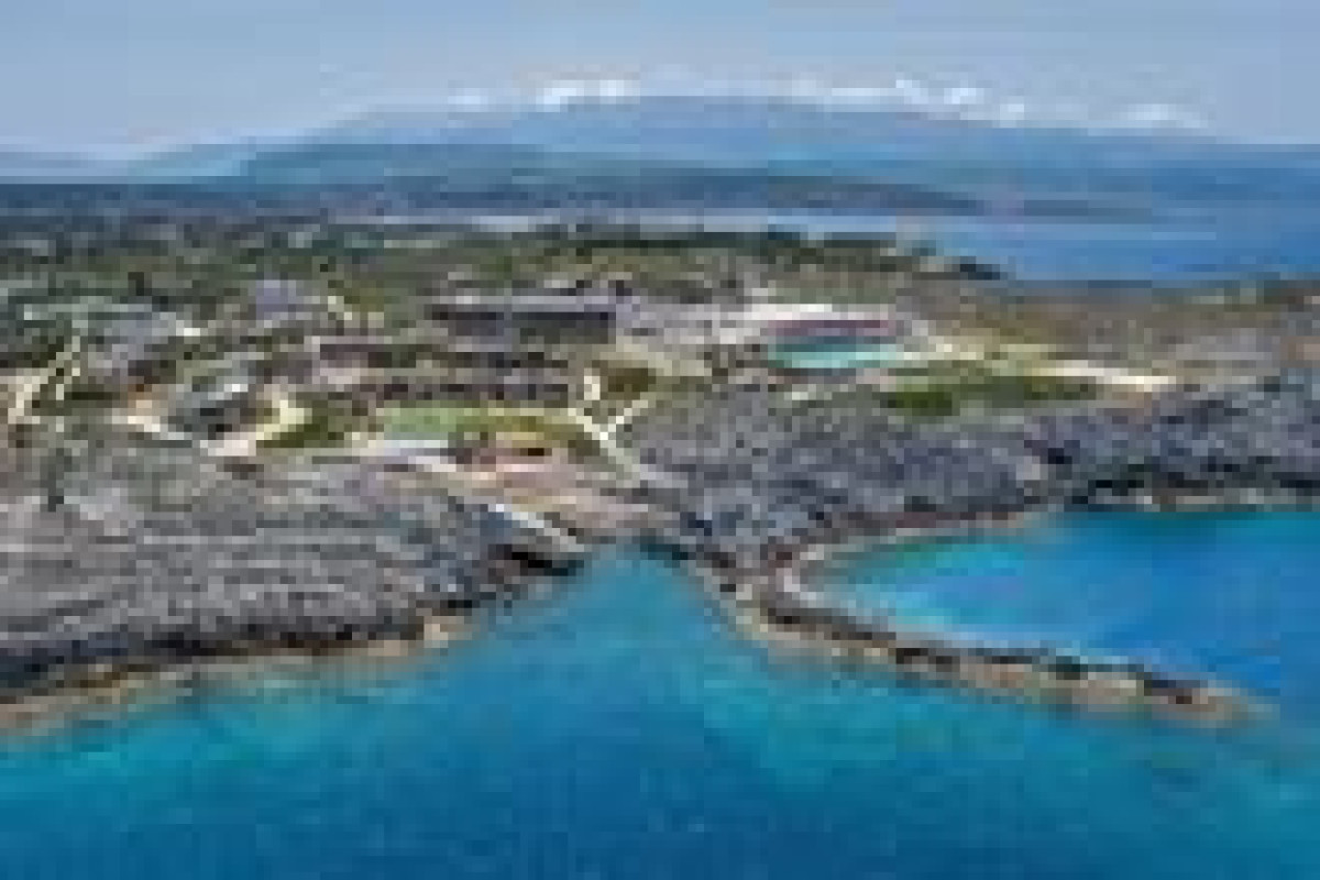 ISLA BROWN CHANIA
