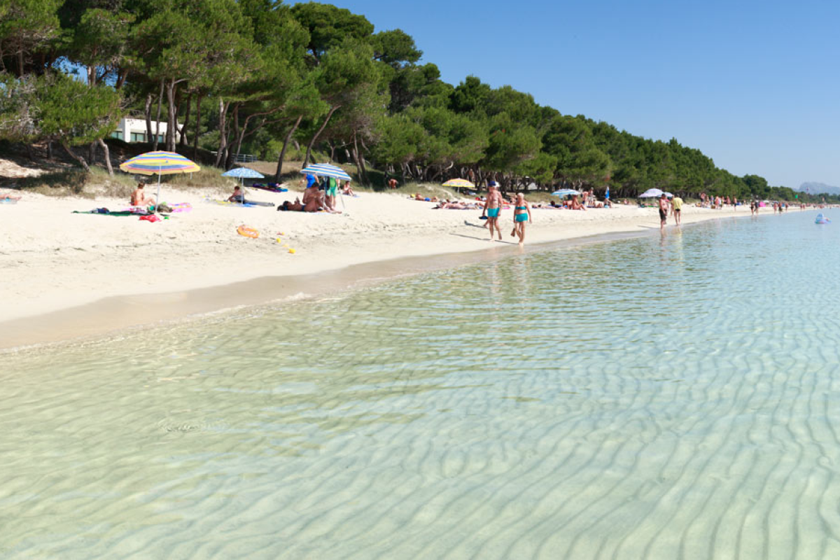 Ivory Playa