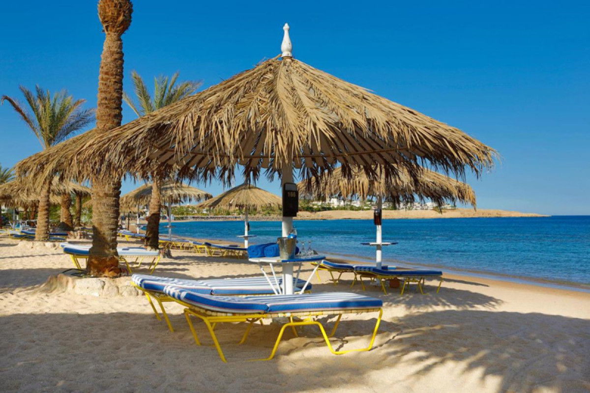 JAZ SHARM DREAMS RESORT